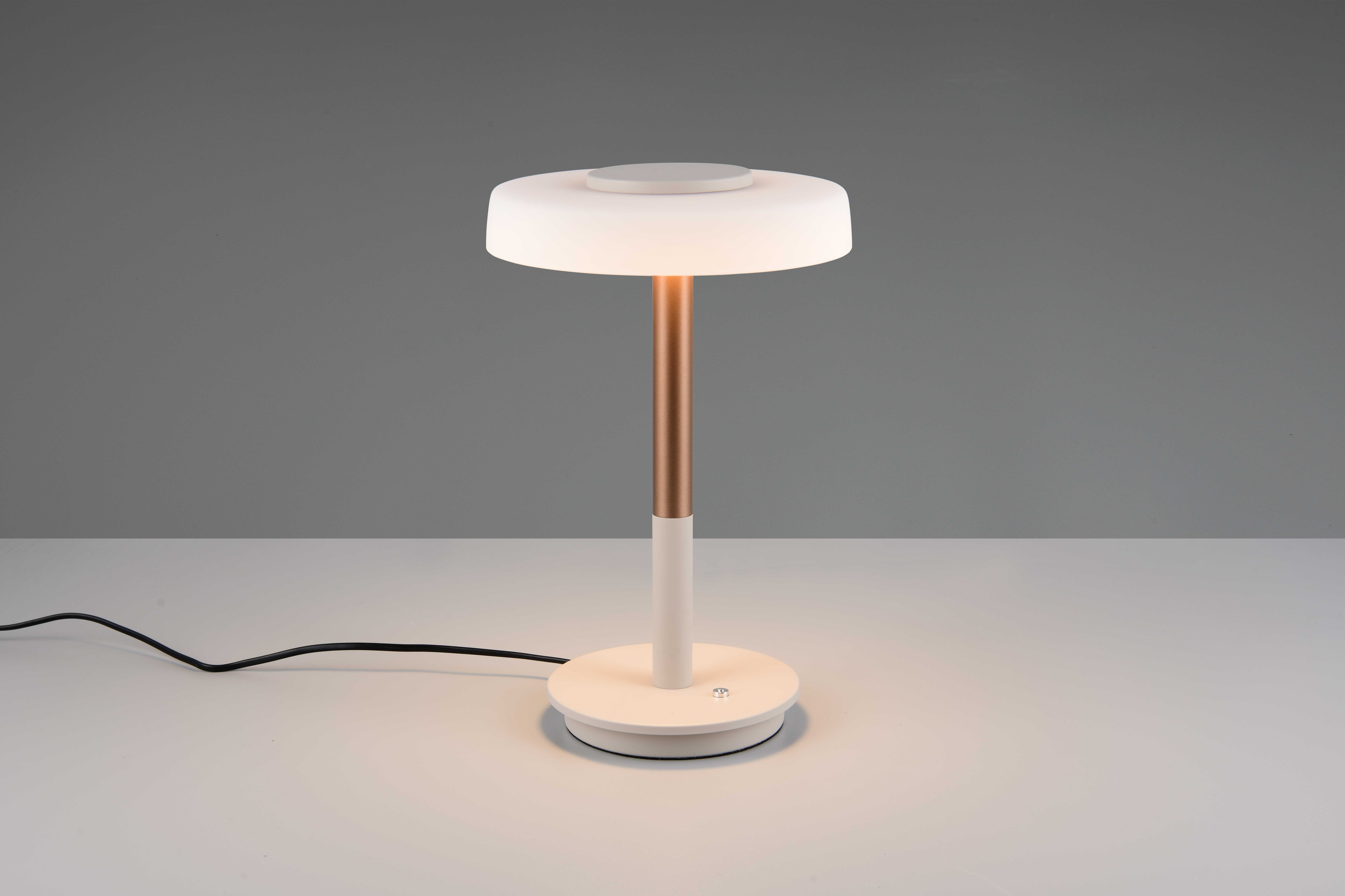 000716003903_HauptbildFreigestellt-1747817325901