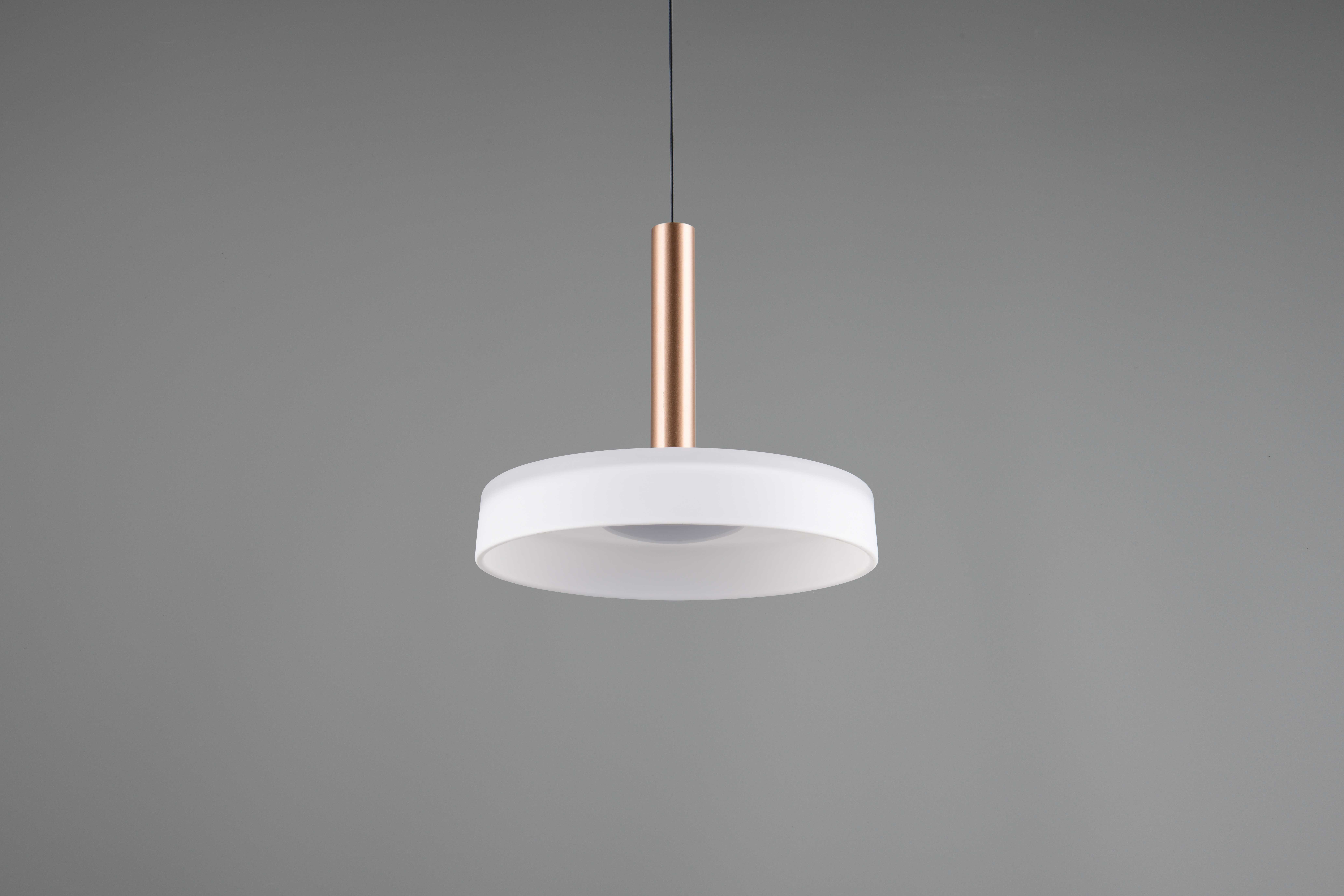 0007160039_Detailbild03-1747817319322force=true