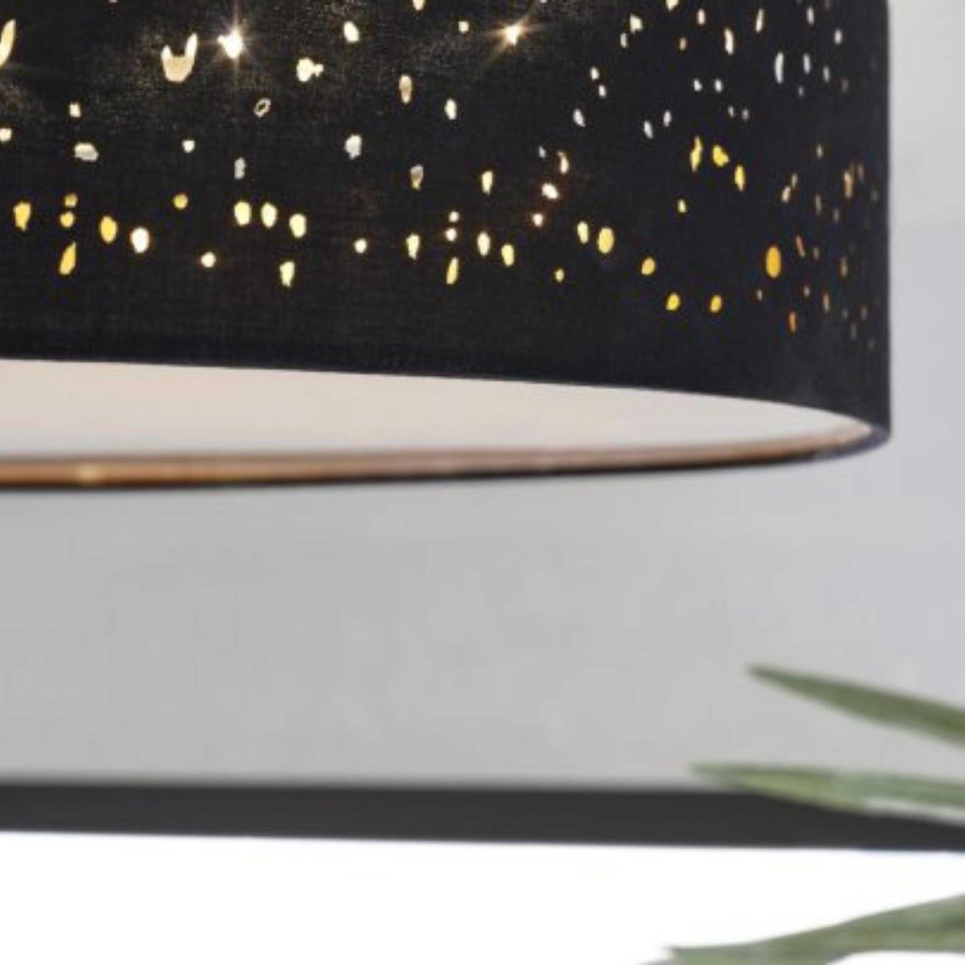 0007210029_Detailbild01-1696413589459