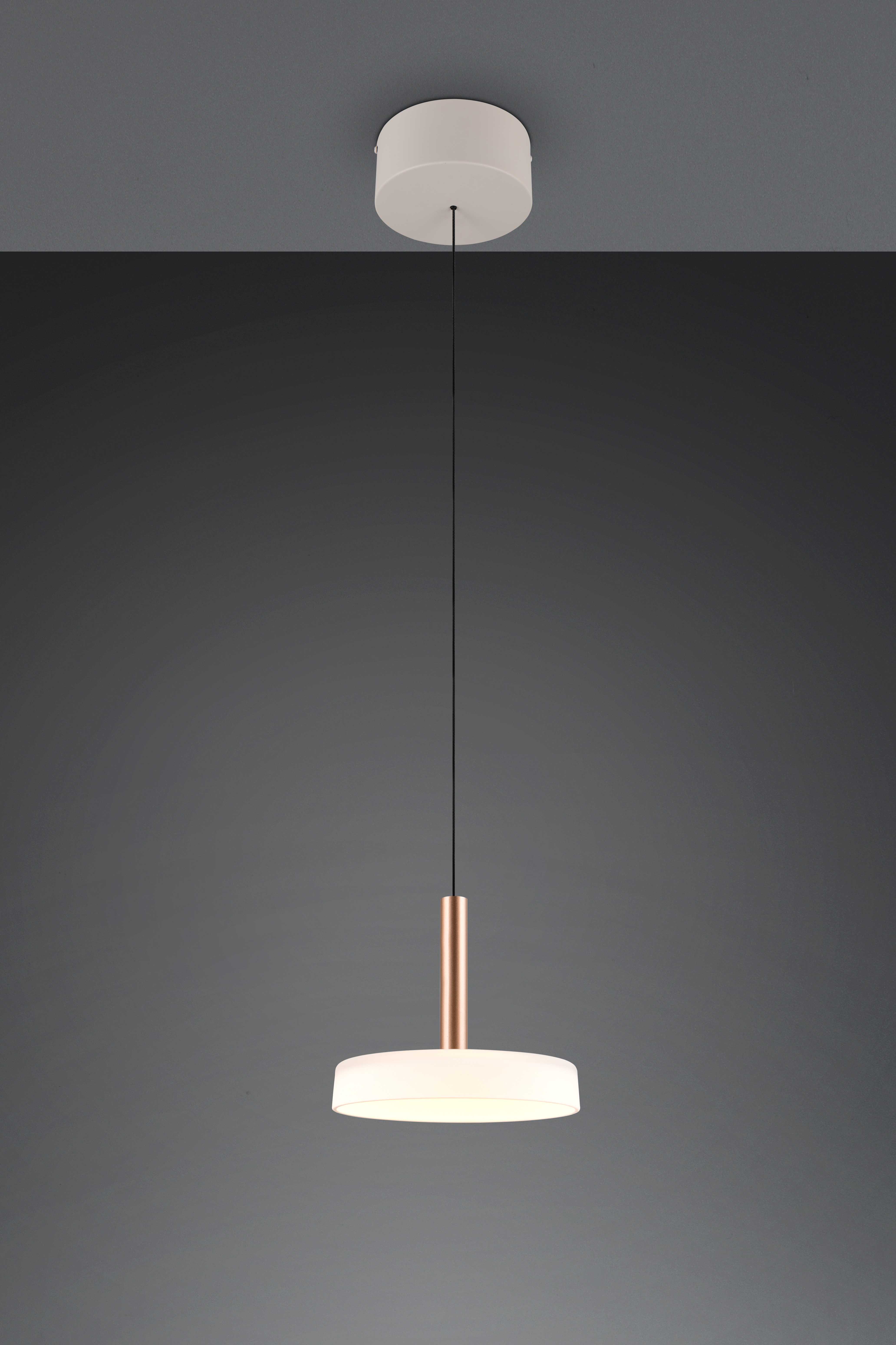 0007160039_HauptbildFreigestellt-1747817319650force=true